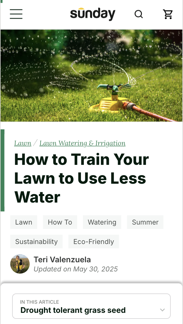Blog Content Program